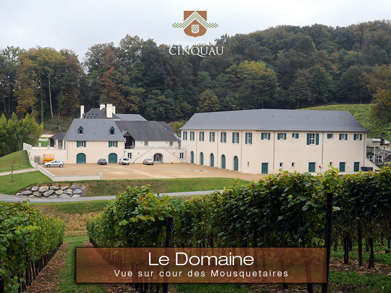 Domaine du Cinquau_64230 ARTIGUELOUVE_2